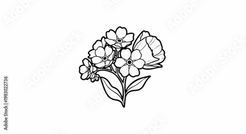 Delicate outline drawing of forget-me-not flowers with a butterfly