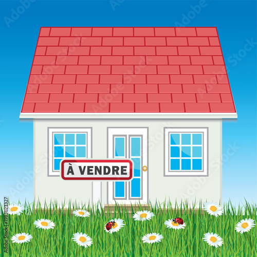 Beautiful house with green grass and daisies for sale. French language. Real estate. Hand drawn vector illustration.