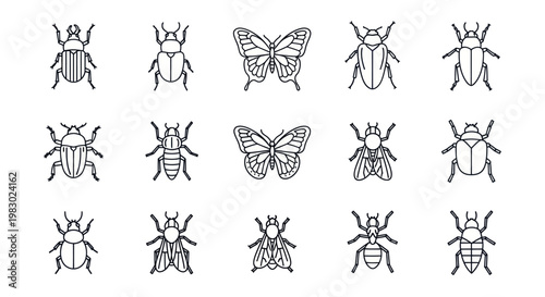Set of minimalist insect and bug line art icons on white background.
