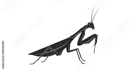 Black silhouette of a praying mantis isolated on white background