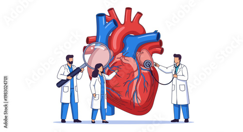 Doctors examining a human heart with magnifying glass and stethoscope.