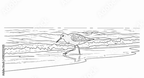 A lone shorebird wades along a wavy beach, seeking sustenance