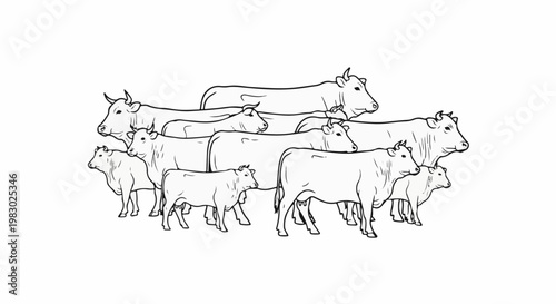 A line drawing shows a herd of cows and calves in varying sizes