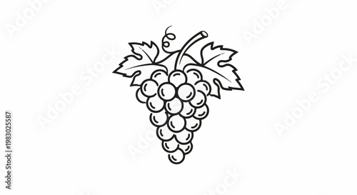 Black and white illustration of a bunch of grapes with leaves