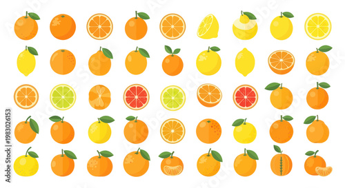 Colorful Citrus Fruits Assortment: Oranges, Lemons, Grapefruits, Limes - Flat Design