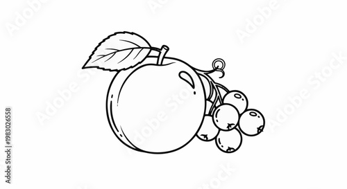 Simple line drawing of an apple and cluster of berries with a leaf