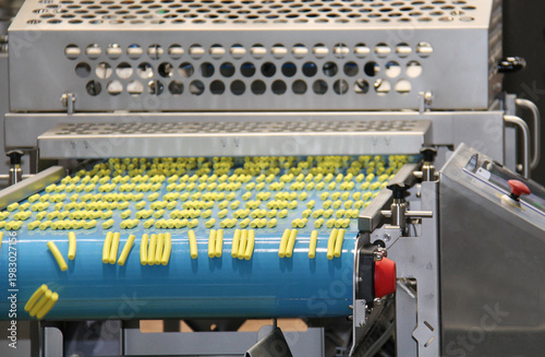 Conveyor Belt of an Automatic Food Processing Machine.