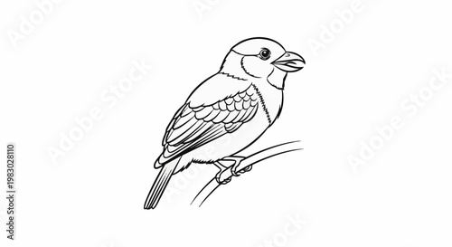 A simple line drawing shows a small bird perched on a branch