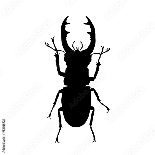Stag beetle silhouette - vector illustration