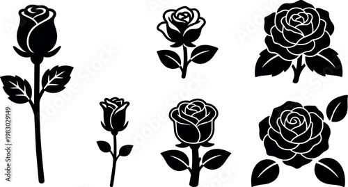 Black and white rose flowers vector art set with leaves