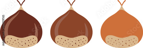 Set of 3 Hazelnut Chocolates with Creamy Fillings, Sweet Confectionery Design for Desserts, Snacks, and Gourmet Treats