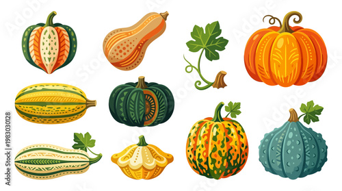 Variety of colorful pumpkin types.