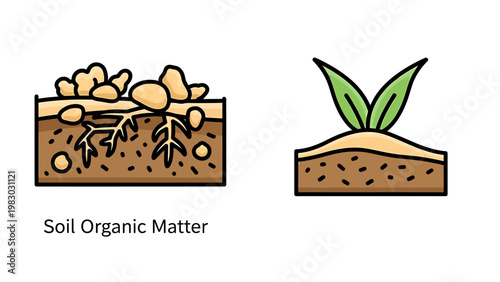 Illustration of soil organic matter with roots and decomposing material alongside a sprouting plant depicting soil health and growth plant science soil structure plant life agriculture ecosystem