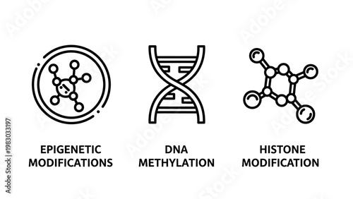Scientific icons for epigenetic modifications DNA methylation and histone modification representing molecular biology genetics and laboratory research concepts with epigenetic methylation genetics