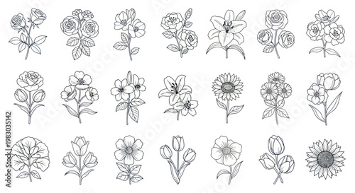 Set of various floral line art elements and botanical illustrations.