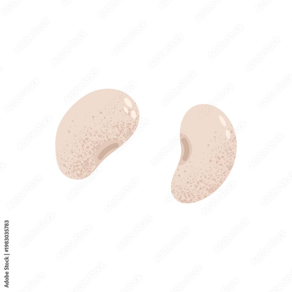 Fototapeta premium White kidney beans