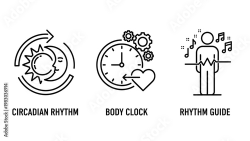 Health and biological cycle icons featuring circadian rhythm body clock rhythm guide circadian biological wellness metabolism physiology internal function research