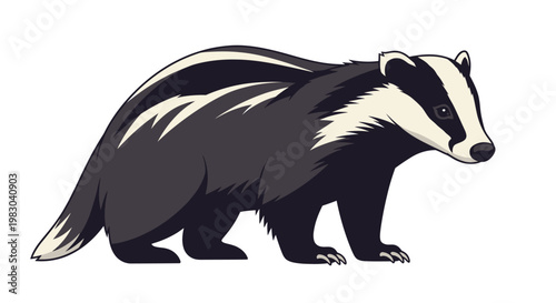Illustration of a European Badger standing on a white background.