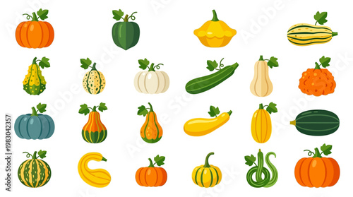 Variety of squash and gourds displayed.