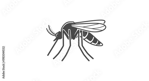 Detailed illustration of a mosquito insect.