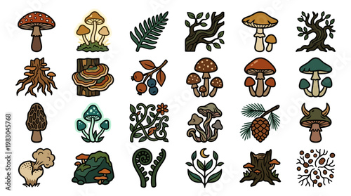 Various Mushrooms and Fungi Illustrations.