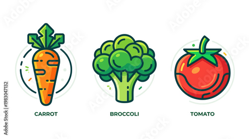 Vegetables Carrot Broccoli Tomato Illustration.