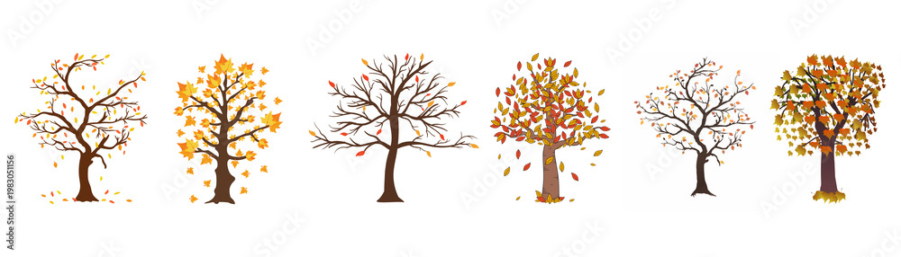 Fototapeta premium Diverse trees showing seasonal change from bare to autumn foliage on transparent background