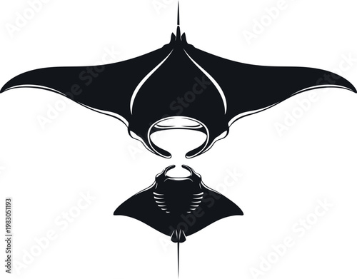 Illustration of a manta ray swimming gracefully in ocean waters
