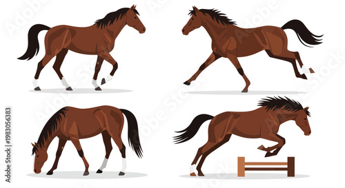 Set of Brown Horse Poses: Standing, Trotting, Grazing, Jumping