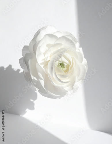 white rose bouquet