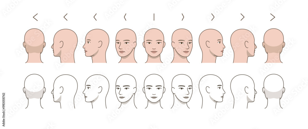 Fototapeta premium Male Head 360 Degree Rotation Set, Bald Character Face Angles Front Side Back View, Anatomy Reference, Turnaround Sheet, Multi Angle Illustration