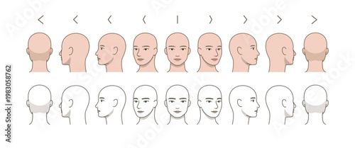 Male Head 360 Degree Rotation Set, Bald Character Face Angles Front Side Back View, Anatomy Reference, Turnaround Sheet, Multi Angle Illustration