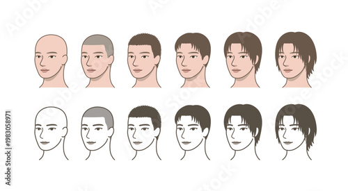 Male Hair Growth Progression in 45 Degree View, Hairstyle Transformation from Bald to Long Hair, Three Quarter Angle Face, Grooming Chart Illustration