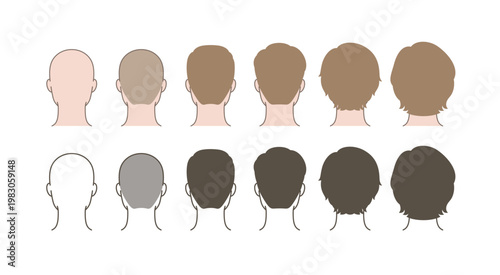 Male Hair Growth Progression Back View, Rear Head Hairstyle Transformation from Bald to Long Hair, Hair Length Comparison Grooming Chart Illustration