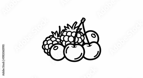 Outline illustration of raspberries and cherries on a white background