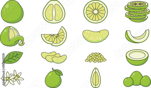 Sweet Lime Vector Collection with Whole Fruit, Slices, Segments, Seeds, Leaves and Blossoms in Hand Drawn Style for Fresh Citrus Food Design