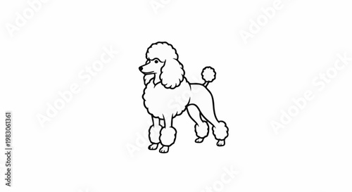 Stylized line art of a poodle with puffy fur