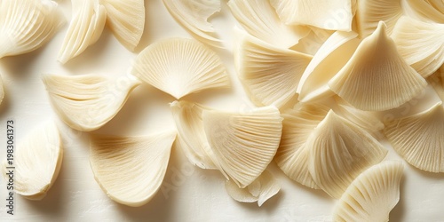 Abstract Arrangement of Thin Sliced Floral Petals in Soft Yellow Green Tones and Delicate Lines