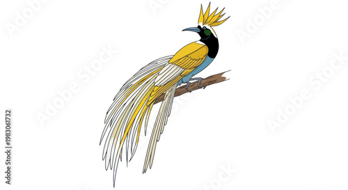 Greater bird of paradise perched on a branch vector illustration isolated on white