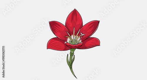 A vibrant red flower with delicate petals and green stem