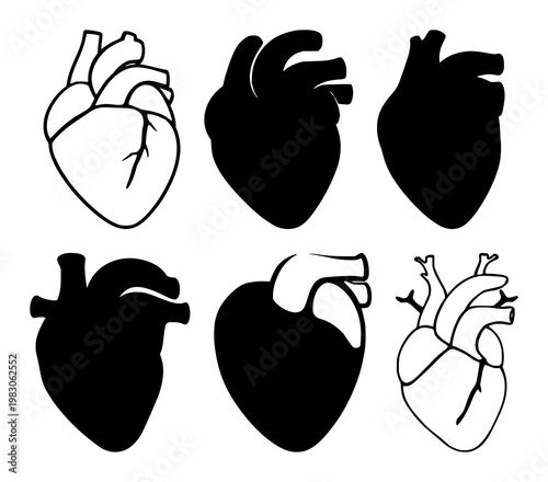 Cardiology heart organ icon set with solid black icon on white background featuring medical, anatomy, cardiovascular with simple and graphic