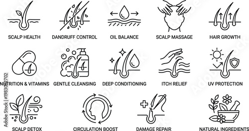 Hair care benefits vector illustration showing scalp health icons and natural remedies
