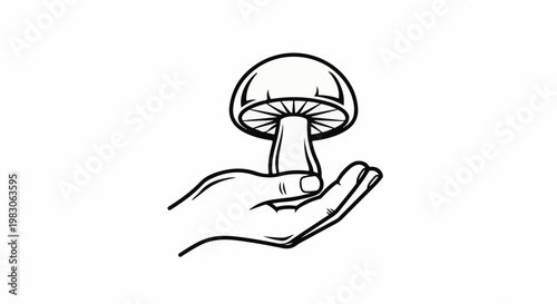 Hand holding a mushroom, stylized line art drawing