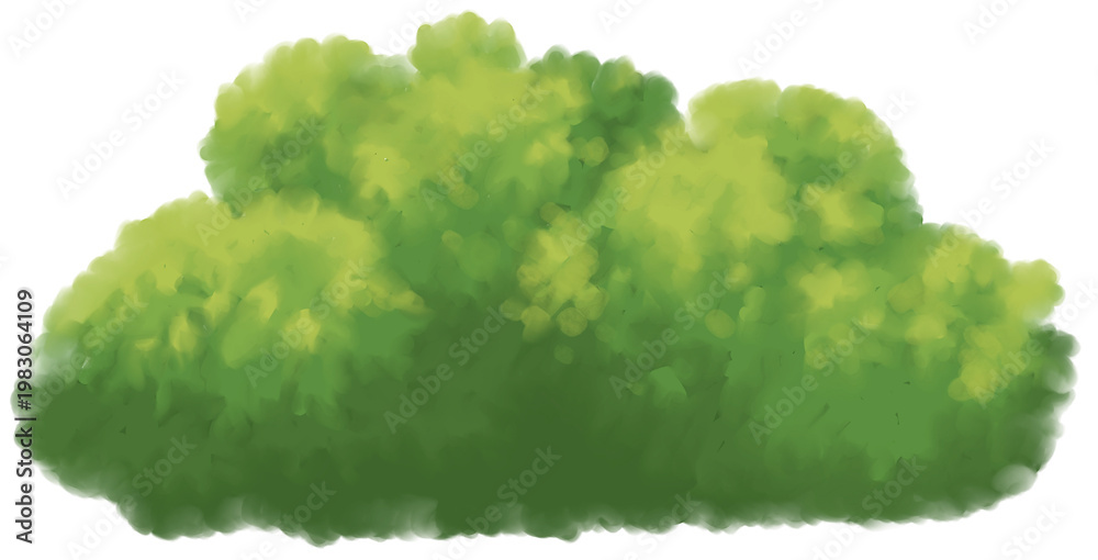 Fototapeta premium forest