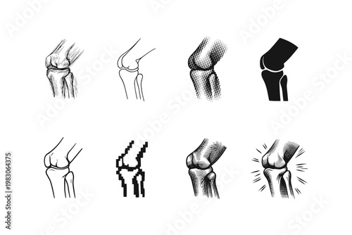 Collection of diverse knee joint anatomical illustrations in various artistic styles