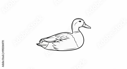 Outline drawing of a duck resting on a white background