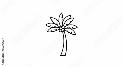 Simple outline drawing of a palm tree with coconuts and large leaves