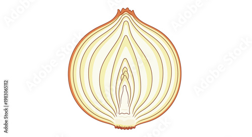 Close-up illustration of a sliced yellow onion against a white background.