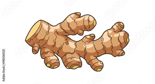 Fresh ginger root isolated on white background