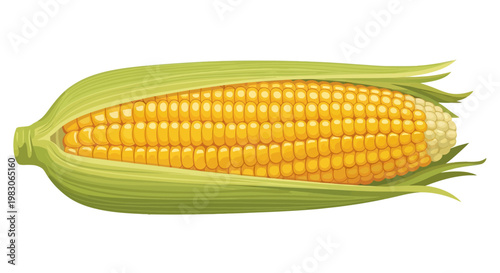 Fresh corn cob with green husks and yellow kernels